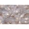 6.5ft. Pre-Lit Dunhill® White Fir Artificial Christmas Tree, Clear Lights